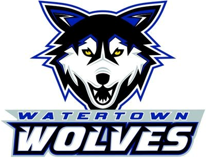 Watertown Wolves 2014-Pres Primary Logo iron on transfers for clothing